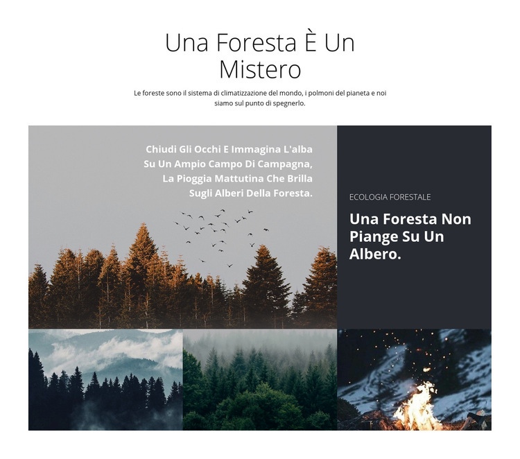 Viaggi nella foresta Costruttore di siti web HTML