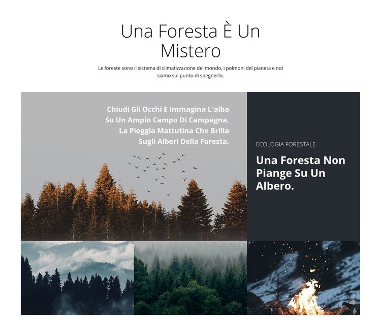 Viaggi nella foresta Modello HTML5