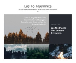 Wycieczki Po Lesie - Responsywny Projekt