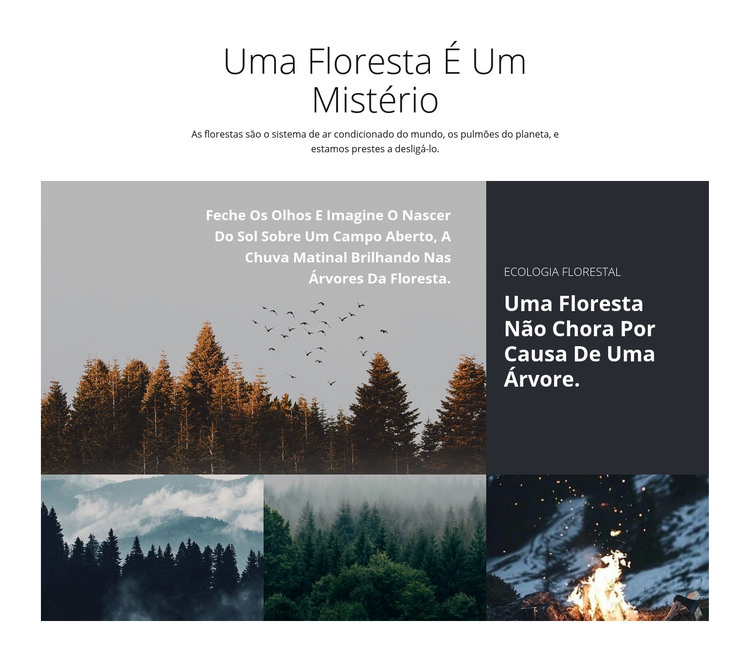 Passeios turísticos na floresta Modelo HTML