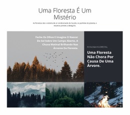 Modelo HTML5 Exclusivo Para Passeios Turísticos Na Floresta