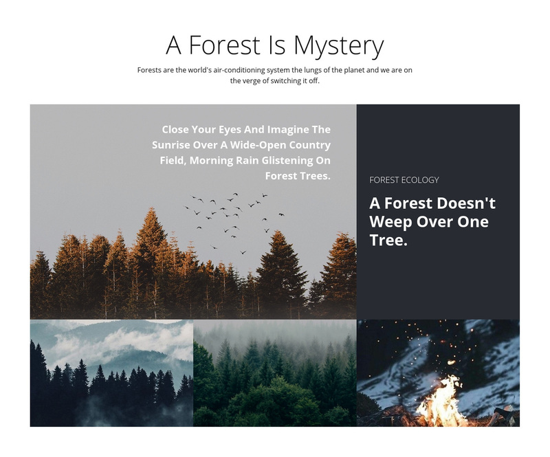 Travel forest tours Web Page Design
