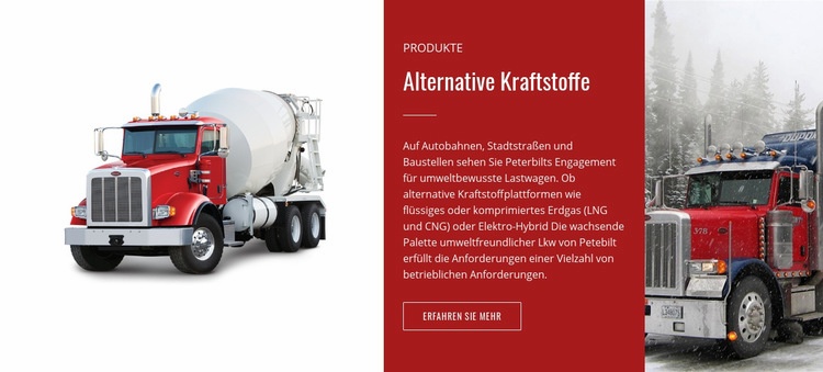 Alternative Kraftstoffe Website-Modell