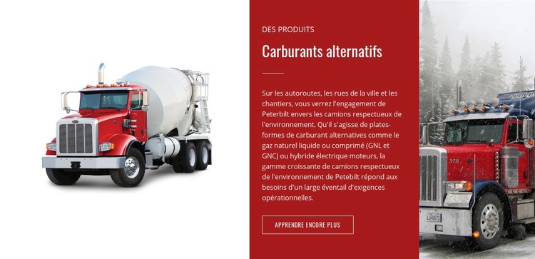 Carburants alternatifs Maquette de site Web