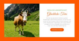 Tierhaltung WordPress-Themen, Rinderfarm, Immobilien, Reaktionsschnelle Website, Webvorlagen, Webdesign, WordPress-Thema, Milchviehbetrieb, Hilfezentrum, Reaktionsschnelle Website-Vorlagen, Business WordPress, Business WordPress-Themen, PowerPoint-Vorlagen, Webvorlage, Corporate Identity, Lebenslaufvorlagen, Beliebte Artikel, CSS-Vorlagen, Pferderennen, HTML-Vorlagen, Kostenloses WordPress, Joomla-Vorlagen, HTML-Vorlage, WordPress-Plugins, Bootstrap-Vorlagen, Google Slides, Website-Vorlagen, Bootstrap 4, Kostenloses Elementor, Beliebte Kategorien, Effektvorlagen, Soundeffekte, Kontaktformular , Business-Website, Bootstrap-Framework, In Den Warenkorb Legen, Mit Dem Verkauf Beginnen, Admin-Vorlagen, Spezialseiten, E-Mail-Vorlagen, SEO-Optimiert, Video-Assets, Unbegrenzte Downloads, PHP-Skript, Design-Vorlagen, Videobestand