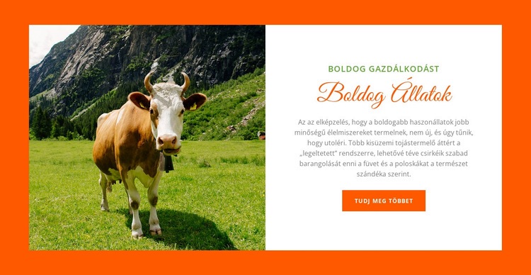 Állatok gazdálkodása HTML Sablon