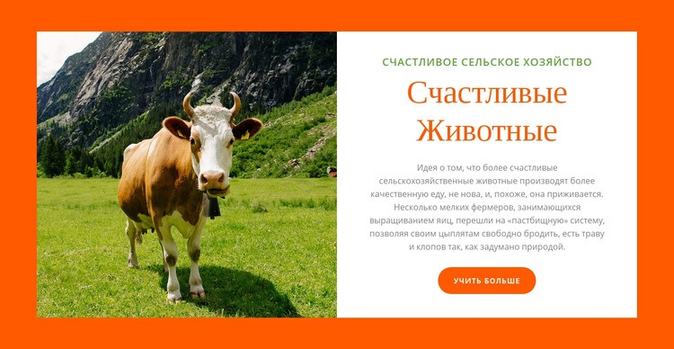 Животноводство CSS шаблон