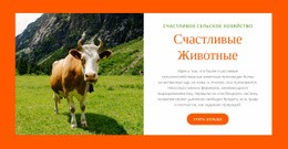 Животноводство – Адаптивный Шаблон HTML5