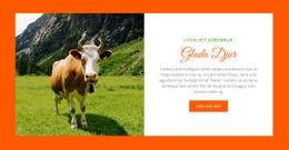 Bästa WordPress-Tema För Djurodling
