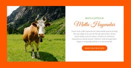 Hayvan Yetiştiriciliği Çiftlik Web Sitesi