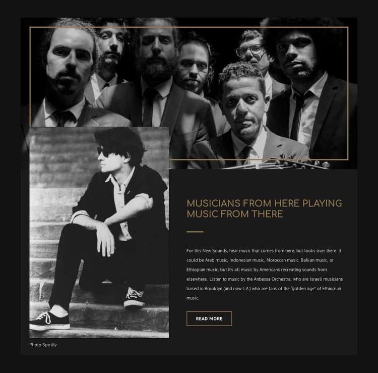 About musicians  CSS Template