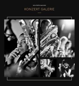 Konzertgalerie - Professionelles Website-Design