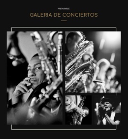 Galería Cconcert