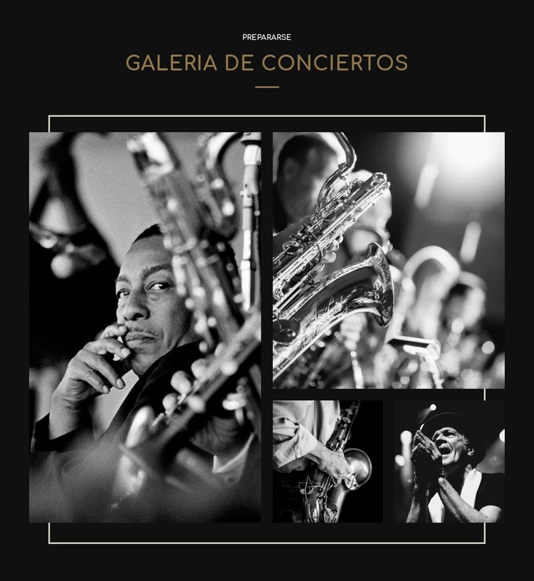 Galería cconcert Maqueta de sitio web