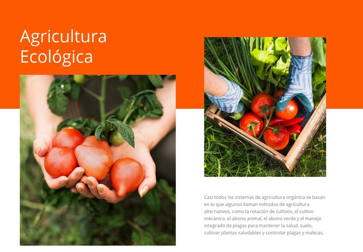 Agricultura ecológica Página de destino