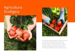 Agricultura Ecológica: Plantilla HTML5 De Una Sola Página