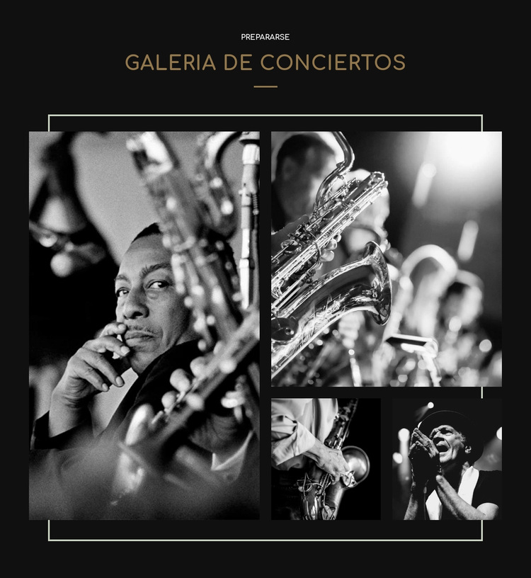 Galería cconcert Tema de WordPress