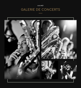 Galerie Cconcert - Modèle De Site Web Réactif