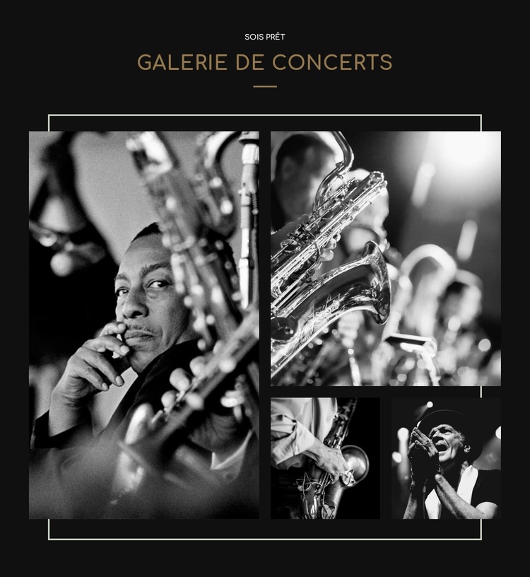 Galerie Cconcert Modèle d'une page