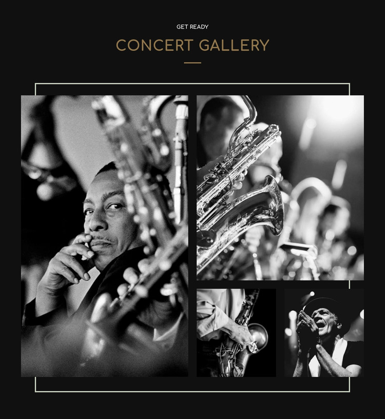 Cconcert gallery Homepage Design