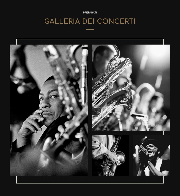 Galleria Cconcert Mockup del sito web