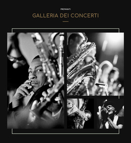 Galleria Cconcert - Modello Di Sito Web Reattivo