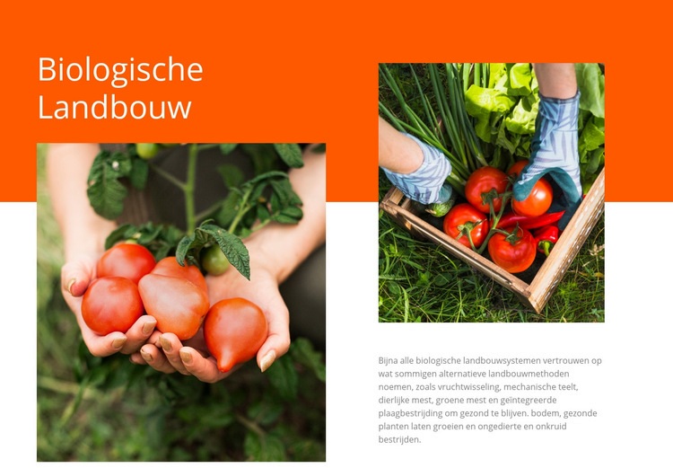 Biologische landbouw Website mockup