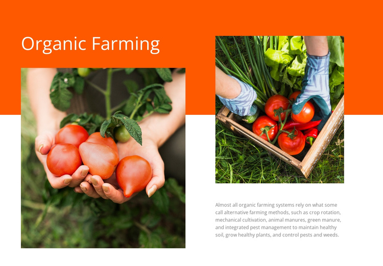 Organic Farming One Page Template