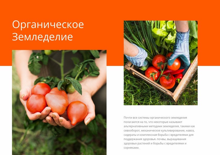 Органическое земледелие Шаблоны конструктора веб-сайтов