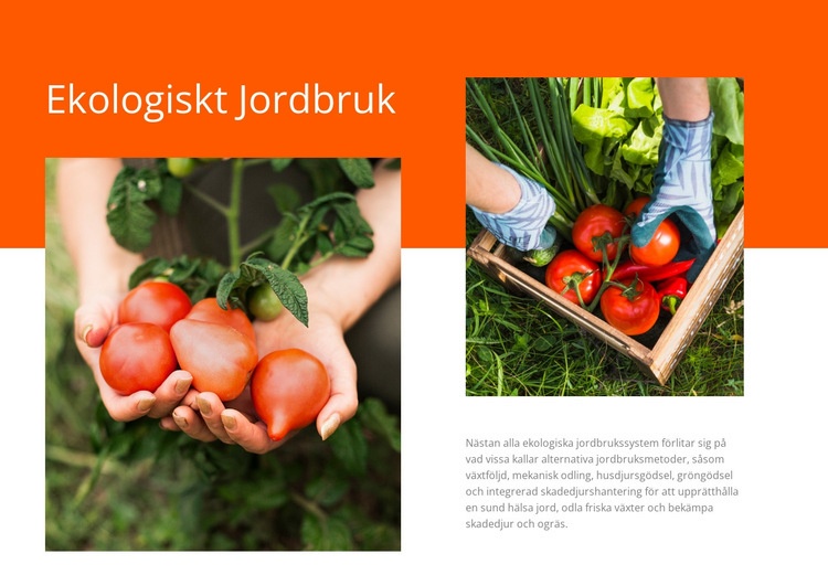 Ekologiskt jordbruk Webbplats mall