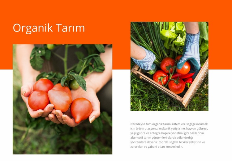 Organik tarım Açılış sayfası