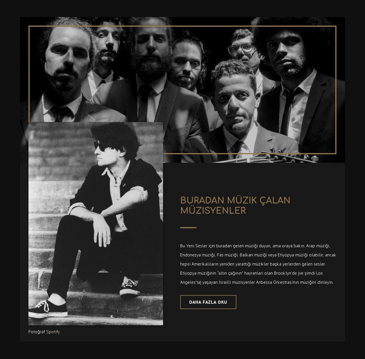 Müzisyenler hakkında Web sitesi tasarımı