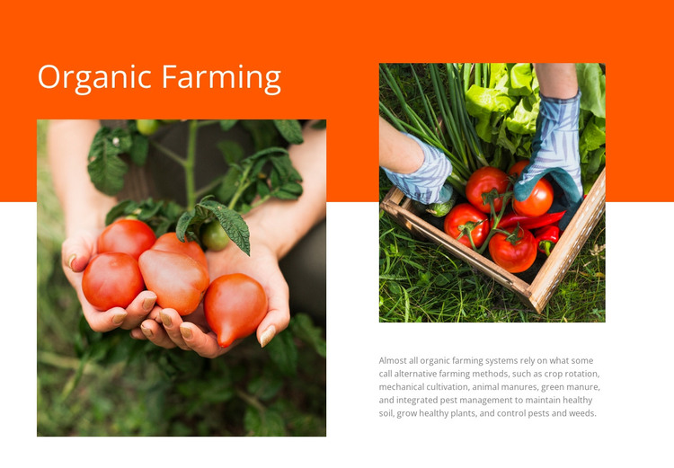 Organic Farming WordPress Theme