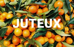 Sain Juteux – Maquette De Site Web Prête À L'Emploi