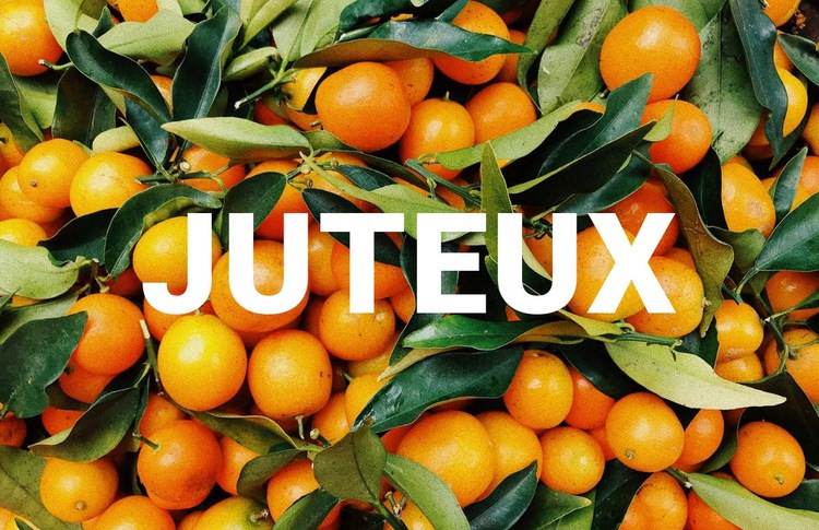 Sain juteux Page de destination