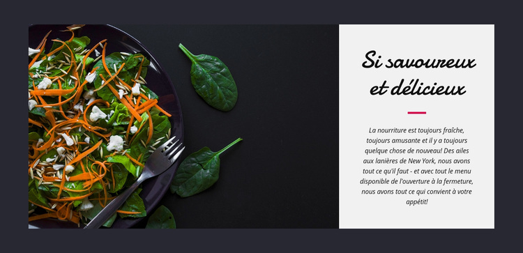 Salade végétarienne savoureuse Thème WordPress