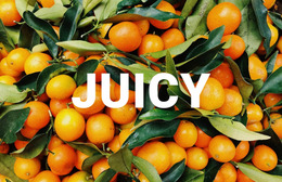 Healthy Juicy - Online HTML Generator