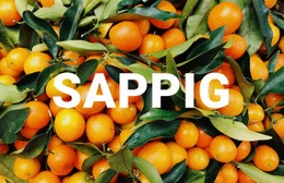 Gezond Sappig - Gebruiksvriendelijke Landingspagina