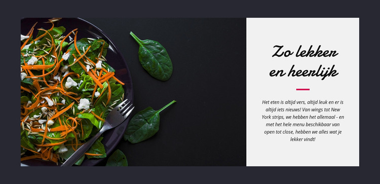 Lekkere vegetarische salade HTML-sjabloon