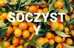 Zdrowo Soczyste Podstawowy Szablon CSS