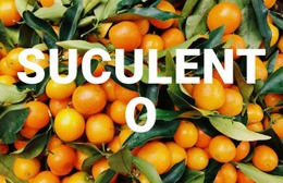 Suculento Saudável - Modelo HTML5, Responsivo, Gratuito