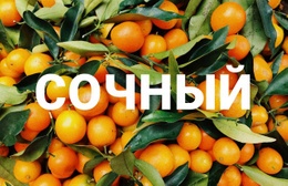 Здоровый Сочный – Шаблон HTML5, Адаптивный, Бесплатный