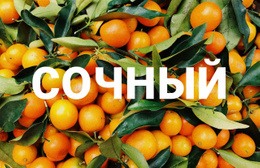 Здоровый Сочный – Профессиональный Конструктор Сайтов