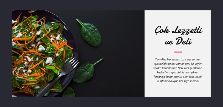 Lezzetli vejetaryen salatası CSS Şablonu