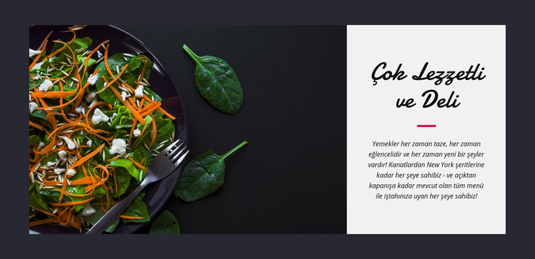 Lezzetli vejetaryen salatası HTML Şablonu