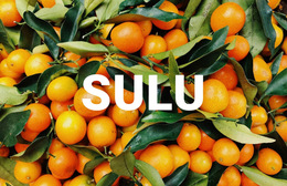 Sağlıklı Sulu - Mobil Web Sitesi Şablonu