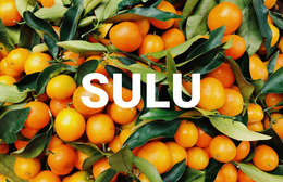 Herhangi Bir Cihaz Için WordPress Teması Sağlıklı Sulu