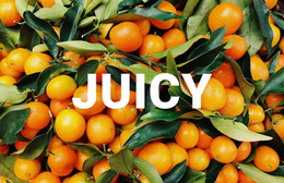 Healthy Juicy - Mobile Website Template