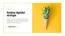 Digitální Strategie – Bezplatný Motiv Css