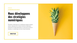 Stratégies Numériques - Un Magnifique Thème WordPress